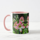 Amaryllis Mok (Links)