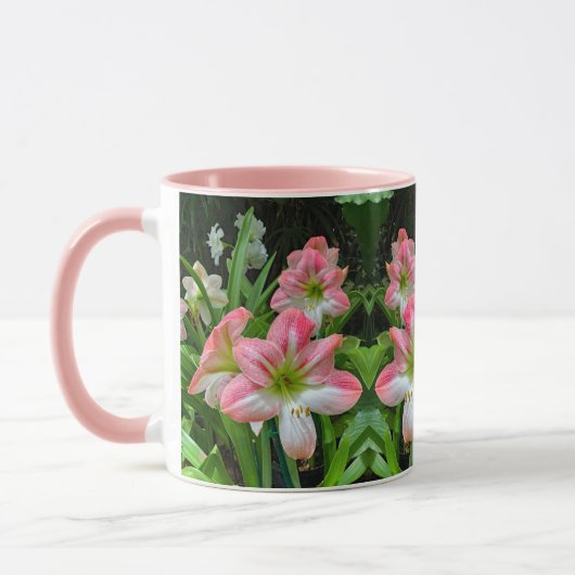 Amaryllis Mok (Links)