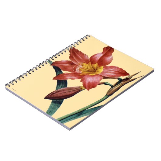 Amaryllis Notitieboek (Linkerzijde)