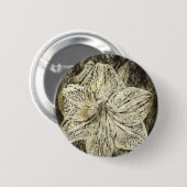 Amaryllis Old Time Sketch Ronde Button 5,7 Cm (Voorkant /achterkant)