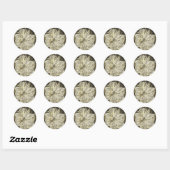 Amaryllis Old Time Sketch Ronde Sticker (Vel)