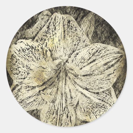 Amaryllis Old Time Sketch Ronde Sticker (Voorkant)