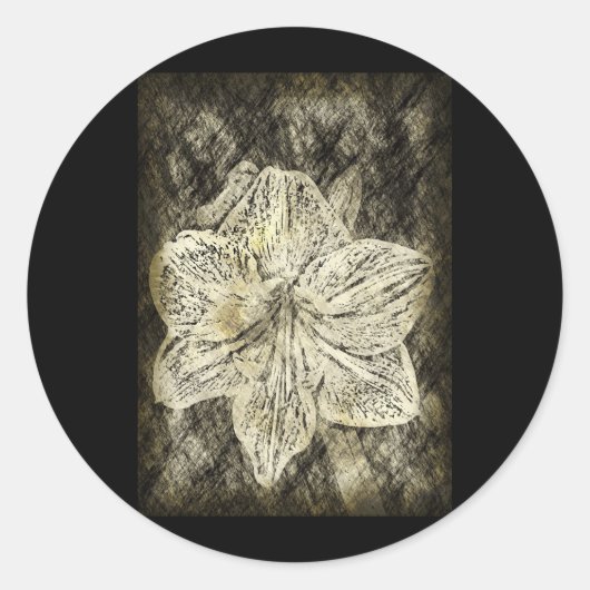 Amaryllis Old Time Sketch Ronde Sticker (Voorkant)