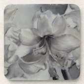 AMARYLLIS-ONDERZETTERS DRANKJES ONDERZETTER (Voorkant)