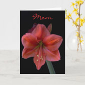 Amaryllis op Zwart Moederdag Kaart (Gele Bloem)
