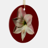 Amaryllis ~ ornament (Rechts)