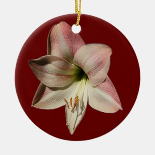 Amaryllis ~ ornament (Voorkant)