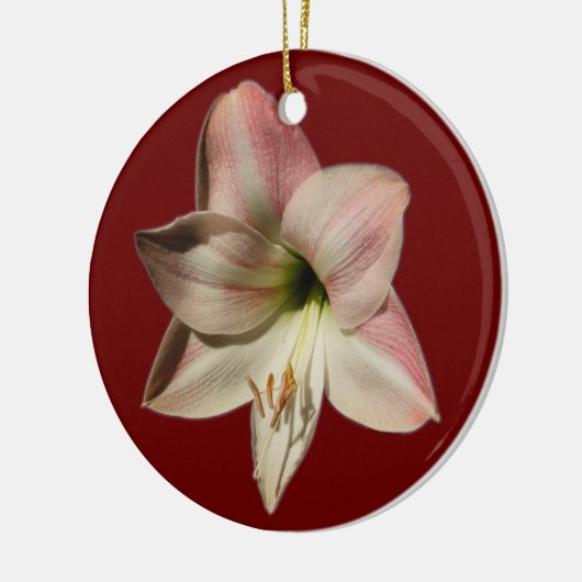 Amaryllis ~ ornament (Links)