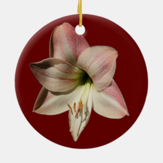 Amaryllis ~ ornament (Achterkant)