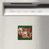 Amaryllis Pair kerst Magnet (Insitu (Vaatwasser))