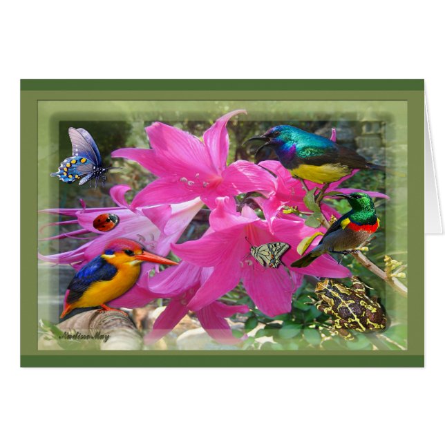 Amaryllis Party (Voorkant Horizontaal)