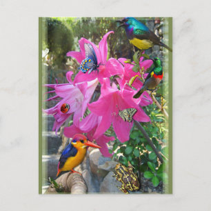 Amaryllis Party Uitnodiging Briefkaart