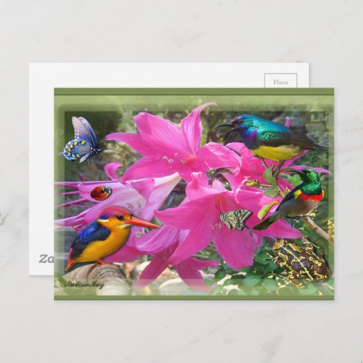 Amaryllis Party Uitnodiging Briefkaart (Voorkant / Achterkant)