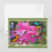 Amaryllis Party Uitnodiging Briefkaart (Voorkant / Achterkant)