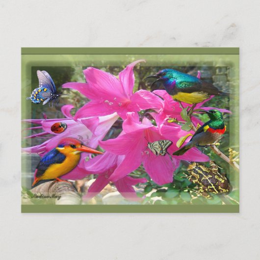 Amaryllis Party Uitnodiging Briefkaart (Voorkant)