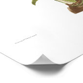 Amaryllis picta poster (Hoek)