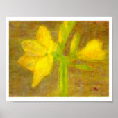 Amaryllis, Poster (Voorkant)