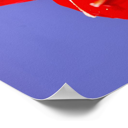 Amaryllis Poster (Hoek)