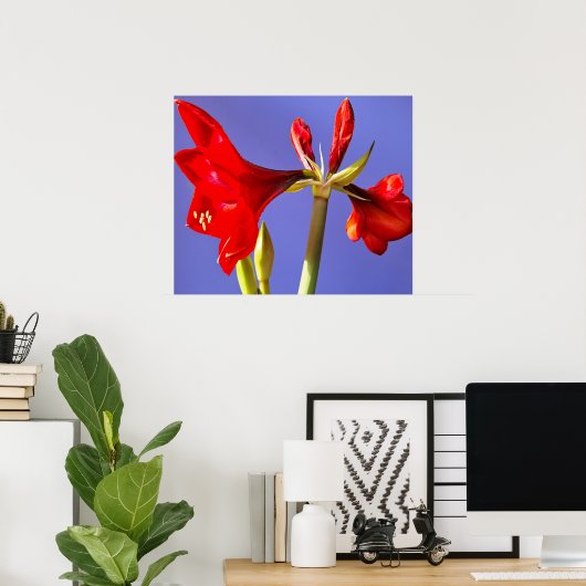 Amaryllis Poster (Thuiskantoor)