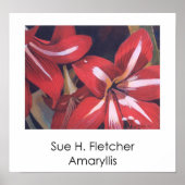 Amaryllis Poster (Voorkant)