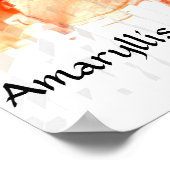 Amaryllis Poster (Hoek)