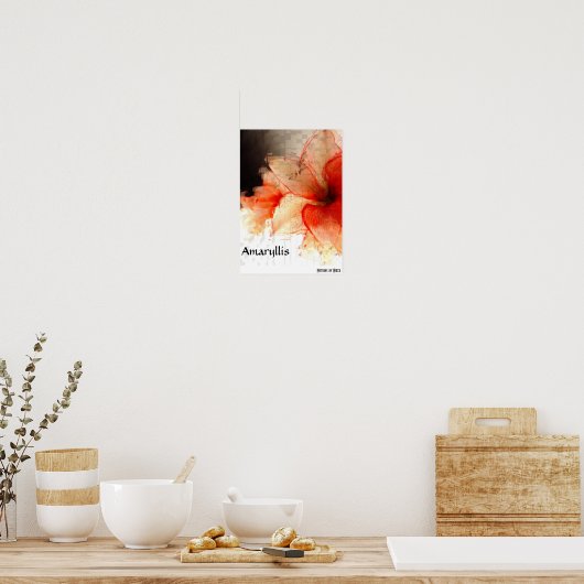Amaryllis Poster (Keuken)