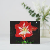 amaryllis, prettige feestdagen (plural:)! (Staand voorkant)