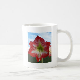 Amaryllis red en white MegaStar Koffiemok