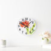 Amaryllis Ronde Klok (Huis)