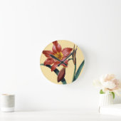 Amaryllis Ronde Klok (Huis)