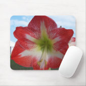 Amaryllis rood en wit MegaStar Muismat (Met muis)