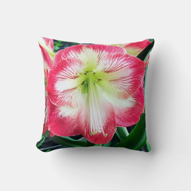 Amaryllis roze wit kleur zachte bloemtak kussen (Voorkant)
