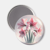 Amaryllis Roze Witte bloemen Magneet (Voorkant / Achterkant)