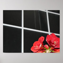 Amaryllis, ruit, kerstbloem, rood poster