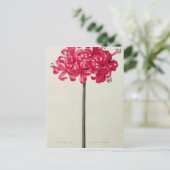 Amaryllis Sarniensis of Narcissus Briefkaart (Staand voorkant)