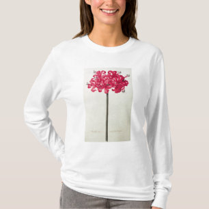 Amaryllis Sarniensis of Narcissus T-shirt