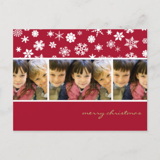 Amaryllis Snowflakes: Christmas Photo Postcard Feestdagenkaart