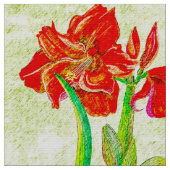 Amaryllis stof 3 (Close Up)
