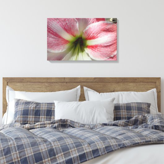 Amaryllis Stretched Canvas Print (Insitu (Slaapkamer))