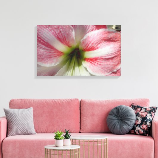 Amaryllis Stretched Canvas Print (Insitu (Woonkamer))