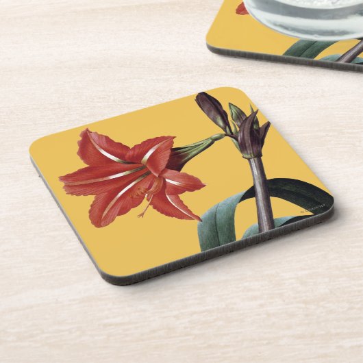 Amaryllis Striped Bier Onderzetter (Linkerzijde)