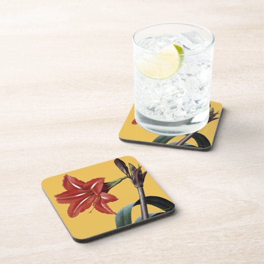 Amaryllis Striped Bier Onderzetter (Rechterzijde)