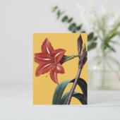 Amaryllis Striped Briefkaart (Staand voorkant)