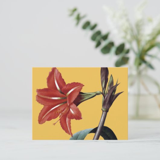 Amaryllis Striped Briefkaart (Staand voorkant)