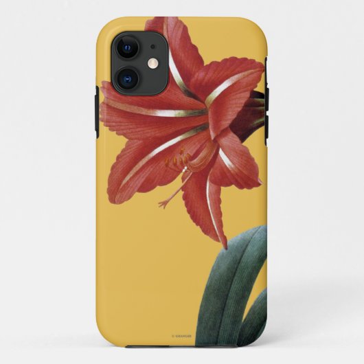 Amaryllis Striped Case-Mate iPhone Case (Achterkant)
