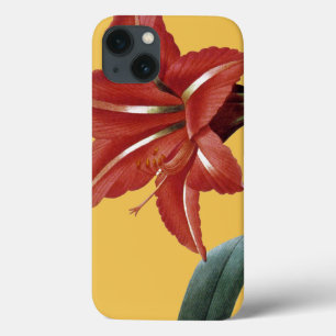 Amaryllis Striped iPhone 13 Hoesje