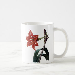 Amaryllis Striped Koffiemok