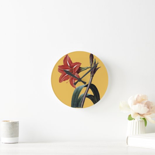 Amaryllis Striped Ronde Klok (Huis)