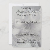 AMARYLLIS-STROOMSTROOM  WEDDINVITATIE KAART (Achterkant)