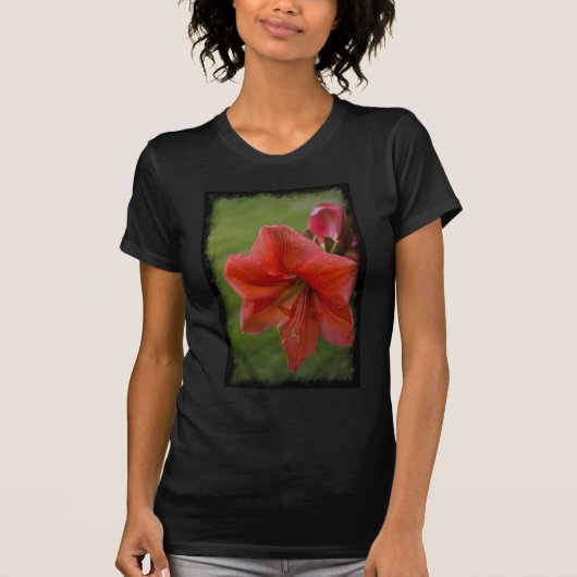 Amaryllis T-shirt (Voorkant)